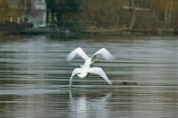 /album/termeszetfotok/kotelek-2-jpg/